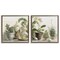 Stupell Industries Succulent House Plants Country Charm Framed Floater Canvas Wall Art